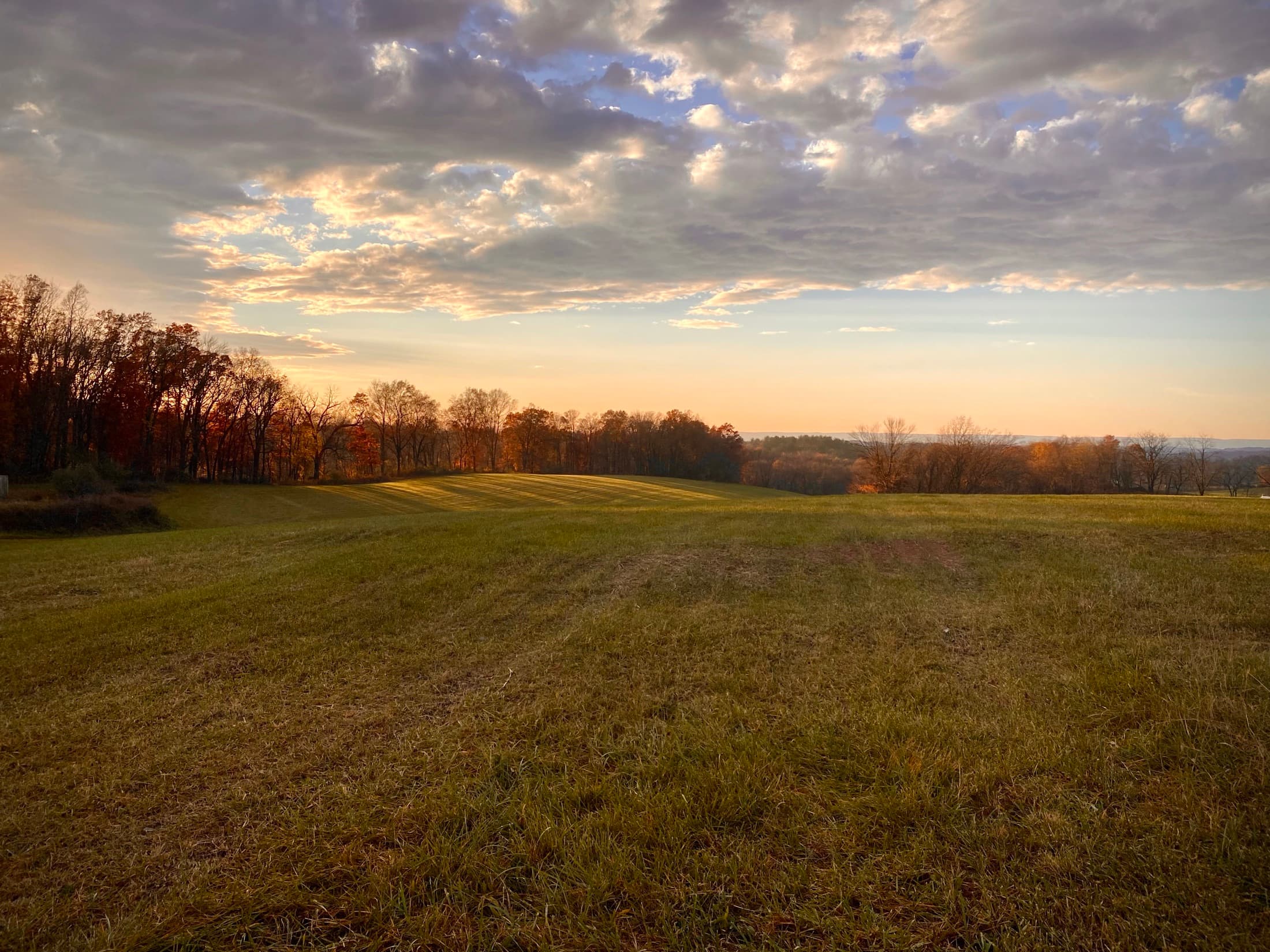 Golden autumn sunset over a freshly mowed hilltop field, framed by a tree line in fall color